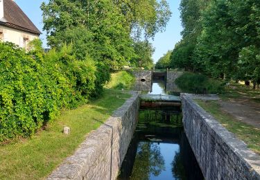 Excursión Senderismo Vieilles-Maisons-sur-Joudry - Grignon - Photo