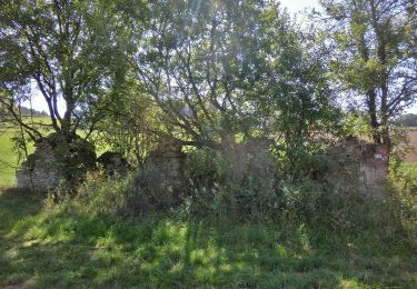 Percorso A piedi Marktleugast - FrankenwaldSteigla Achatzmühlen-Weg - Photo