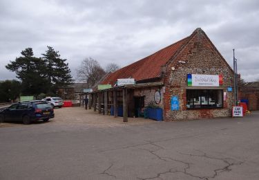 Randonnée A pied King's Lynn and West Norfolk - Brancaster Staithe Circular - Photo