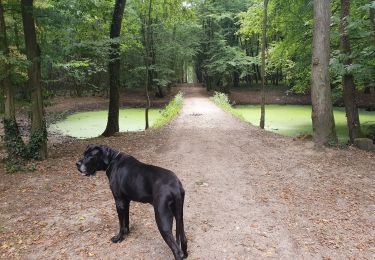 Randonnée Marche Gif-sur-Yvette - gitane à gif - Photo