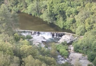 Trail Walking Chambon - [Itinéraire] Vallée du Luech - Photo