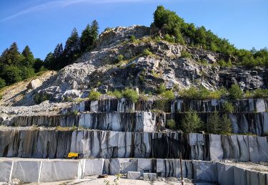 Randonnée A pied Slovenska Bistrica - Naravoslovna učna pot Kebelj (nezahtevna) - Photo