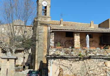 Tocht Stappen La Capelle-et-Masmolène - La Capelle-et-Masmolène - Photo