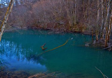 Excursión A pie Torriglia - Anello del Brugneto - Photo