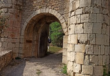 Trail Walking Les Salelles - Chemin de: Le Villard - Photo