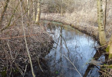 Tour Zu Fuß Bad Schussenried - Bad Schussenried: Wanderweg 5 - Photo