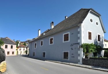 Percorso A piedi Gemeinde Emmersdorf - AT-13 - Photo