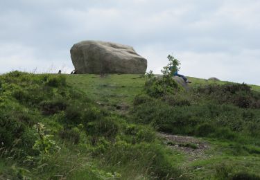 Percorso A piedi Sconosciuto - Rostrevor Forest - Slievemartin Trail - Photo