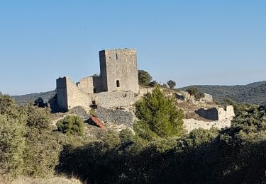 Tour Wandern Montoulieu - Montoulieu - Photo