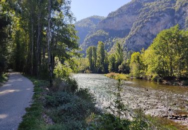 Tocht Stappen Tarascon-sur-Ariège - De Tarascon sur Ariège aux Cabannes  - Photo