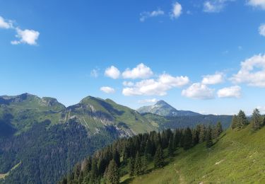 Tour Wandern Morzine - balade des crêtes : Avoriaz . belvédère du lac de Montriond . croix des combes . Avoriaz - Photo