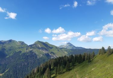 Randonnée Marche Morzine - balade des crêtes : Avoriaz . belvédère du lac de Montriond . croix des combes . Avoriaz - Photo