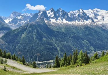 Tour Wandern Chamonix-Mont-Blanc - TMB 10 variante - Tré le Champ -> Chamonix (via téléphérique de La Flégère) - Photo