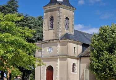 Tocht Stappen Saint-Aignan-Grandlieu - Circuit des Halbrans - Photo