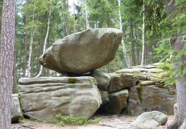 Percorso A piedi Gemeinde Heidenreichstein - Moorpfad - Photo