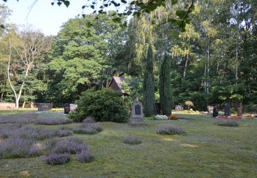 Trail On foot Boxberg/O.L. - Hamor - Grüner Punkt - Photo