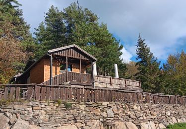 Tour Wandern L'Albère - ullat - san-cristau / retour par la piste  - Photo