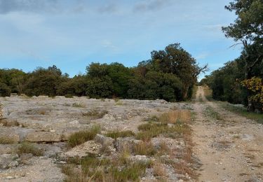 Trail Walking Argelliers - Argelliers bis - Photo