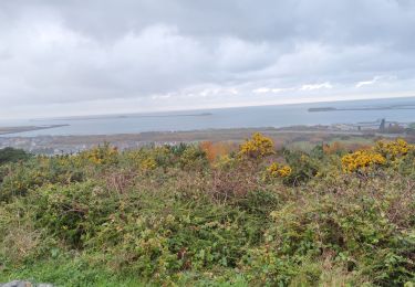 Tour Wandern Cherbourg-en-Cotentin - Tourlaville - Collignon - Photo