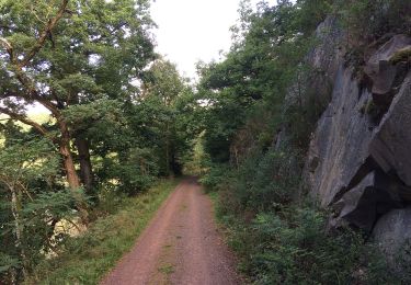 Trail On foot Edertal - Nationalparkrundweg Bloßenberg-Route - Photo