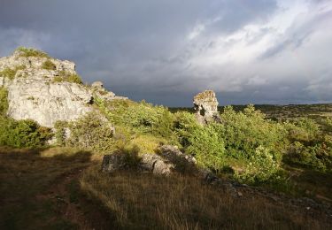 Trail Walking Viala-du-Pas-de-Jaux - lapanouse - Photo