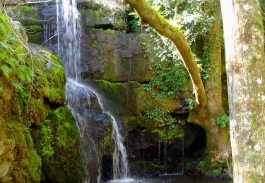 Randonnée Marche Alissas - Alissas Cascade-du-Gournier-Château de Rochessauve 16km. - Photo
