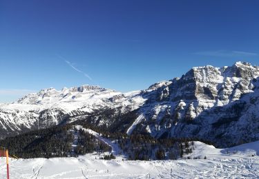 Tour Zu Fuß Stenico - Sentiero del Doss del Sabion - Photo