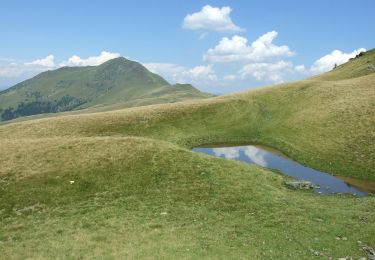 Percorso A piedi Repedea - Repedea - M. Pietriceaua - L. Vinderel - Photo