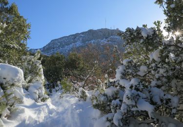 Tour Wandern Gémenos - pic de bertagne - Photo