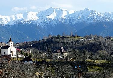 Tocht Te voet  - Casa Folea-Prăpăstiile Zărneștilor - Photo