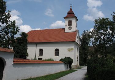 Trail On foot Mortantsch - Wanderweg 27 - Photo