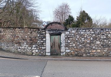 Trail Walking Theux - theux . hodbomont . chincheu . château de l ourlaine . retour via le wayot  - Photo