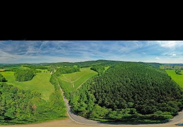 Tour Zu Fuß Bad Schandau - Gelber Punkt, Panoramaweg - Photo