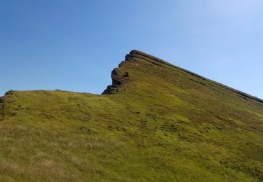 Tocht Stappen Poligny - Sommet du Chamois - Photo