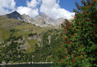 Trail Walking Aussois - Plan d'amont d'Aussois, Refuge Fond d'Aussois, Pointe de l'Observatoire - Photo