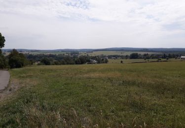 Tocht Stappen Saint-Hubert - arville 130820 - Photo