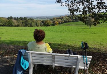 Trail Walking Tazilly - Tazilly jaune avec banc - Photo