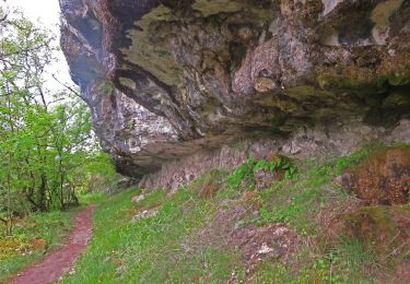 Trail Walking Brengues - brengues-7854558 - Photo