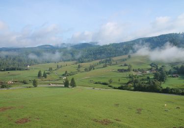 Tour Zu Fuß Bezirk Großsteffelsdorf - Náučný chodník zbojníka Jakuba Surovca - Photo