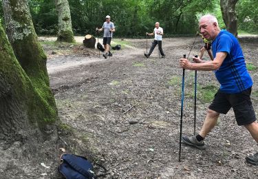 Tour Nordic Walking Le Teich - Le Teich  - Photo