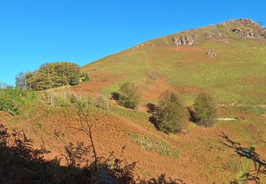 Tour Wandern Saint-Étienne-de-Baïgorry - L