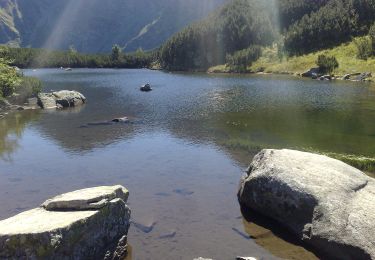 Excursión A pie okres Tvrdošín - Náučný chodník Roháčske plesá - Photo