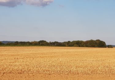 Randonnée Marche Béthancourt-en-Valois - Béthancourt en valois - Photo