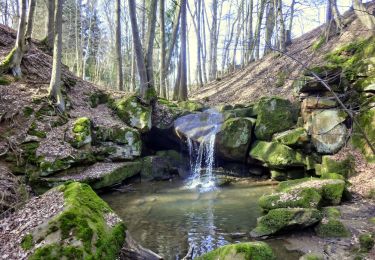 Trail On foot Hummeltal - Mistelbach Rundwanderweg 