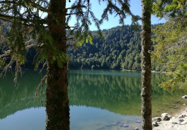 Randonnée Marche La Bresse - La Bresse - La des corbeaux - Photo