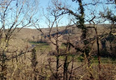 Percorso Marcia Salviac - 19,9km dans le Quercy  - Photo