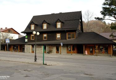 Tour Zu Fuß  - Jaworzyna - Photo