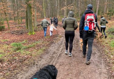 Trail Walking Saint-Hubert - St-Hubert Noitan - Photo