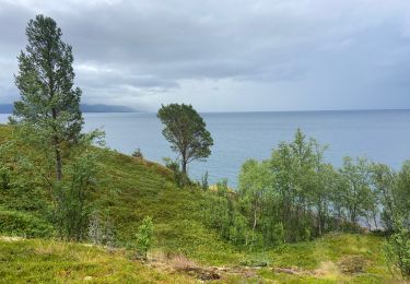 Tour Wandern  - Heggvika - Photo
