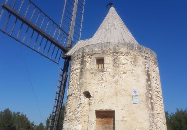 Tocht Stappen Fontvieille - Fontvieille  - Photo